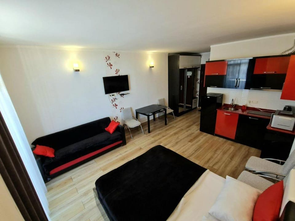 Communal lounge/ TV room, Bed, TV and multimedia, Kitchen or kitchenette, Living room, Photo of the whole room, Seating area, Bedroom