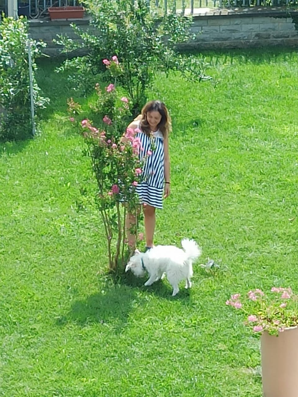 Spring, People, Natural landscape, Garden, Pets, Garden view, children