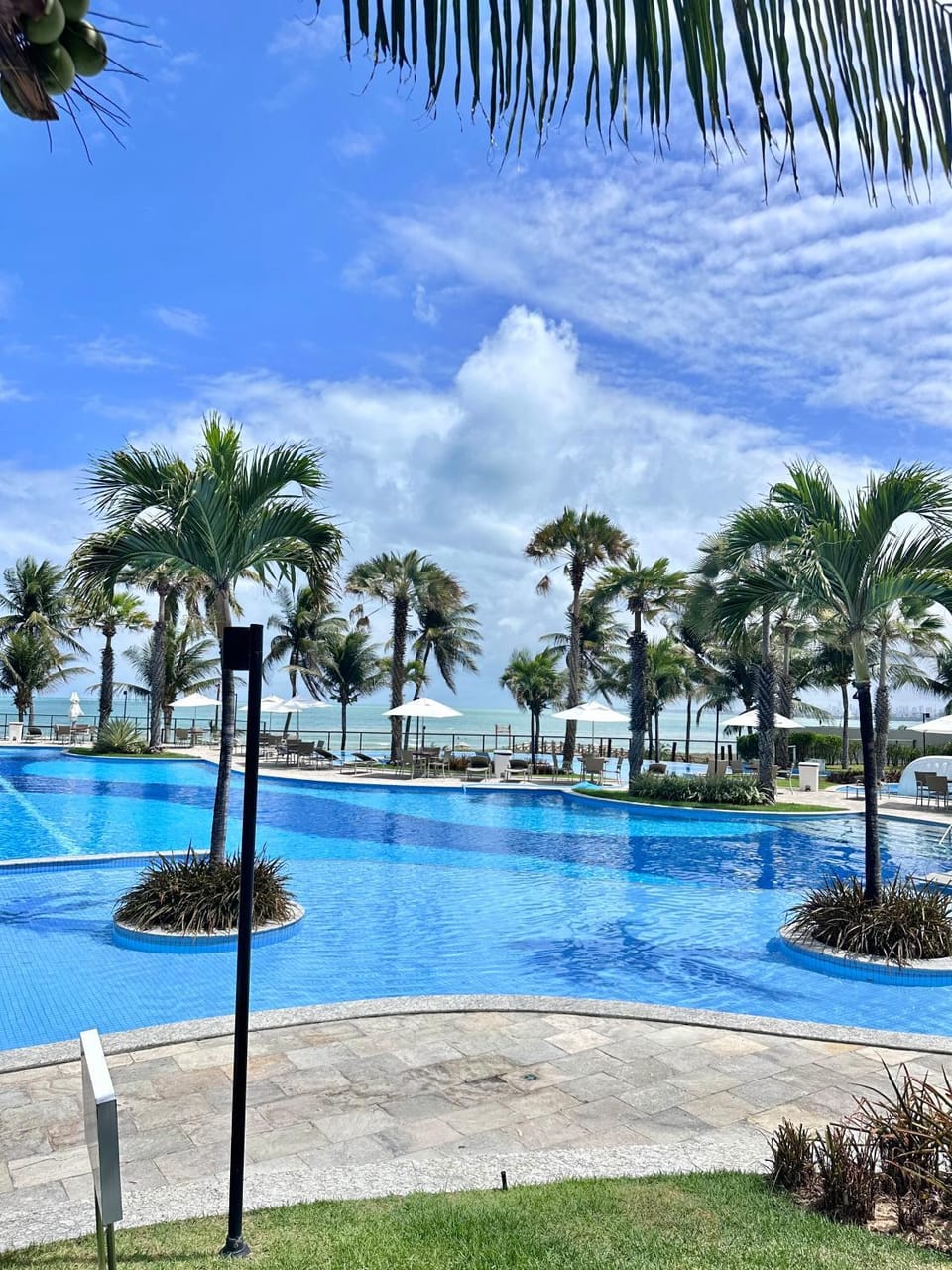 Natural landscape, Pool view, Swimming pool