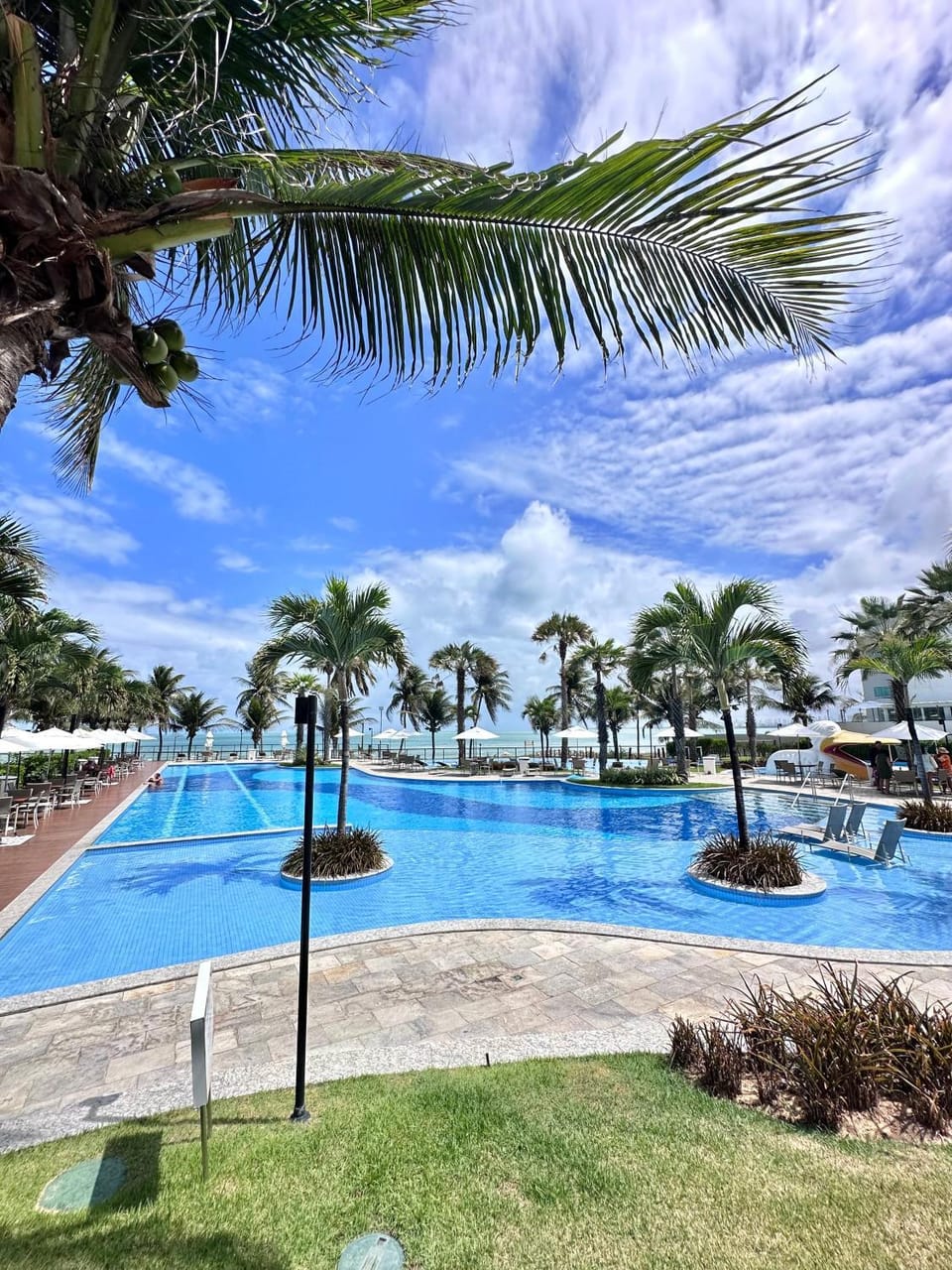 Day, Natural landscape, Pool view, Swimming pool