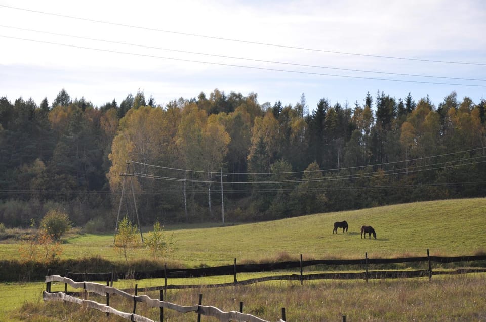 View (from property/room)