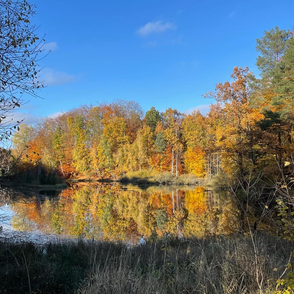 View (from property/room), Autumn