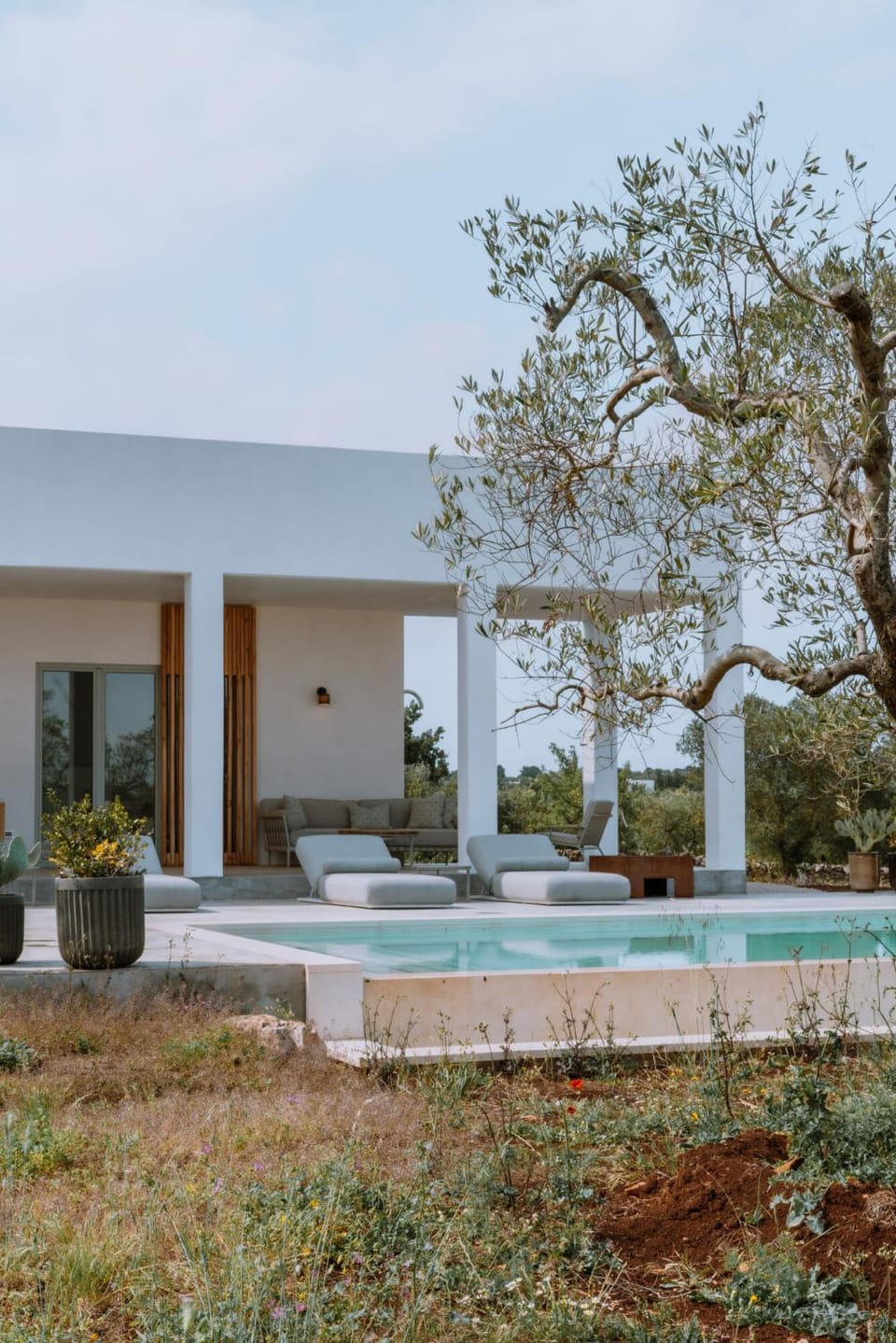Property building, Patio, Day, Garden, Garden view, Pool view, Swimming pool