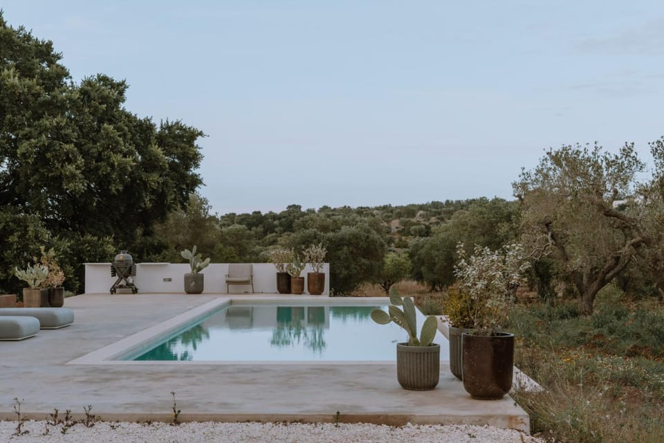 Day, Natural landscape, Garden, Garden view, Pool view, Swimming pool, sunbed