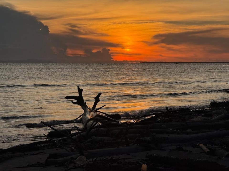 Natural landscape, Beach, Sunset