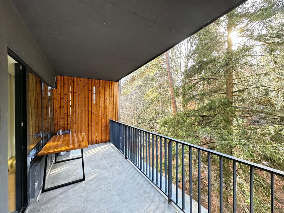Bakuriani Apartment in Georgia
