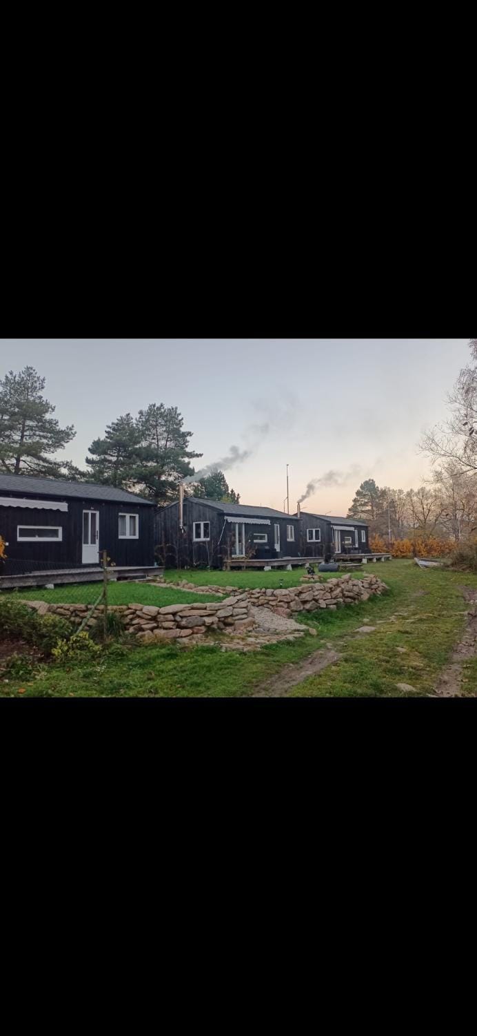 WoodhouseA House in Czechia
