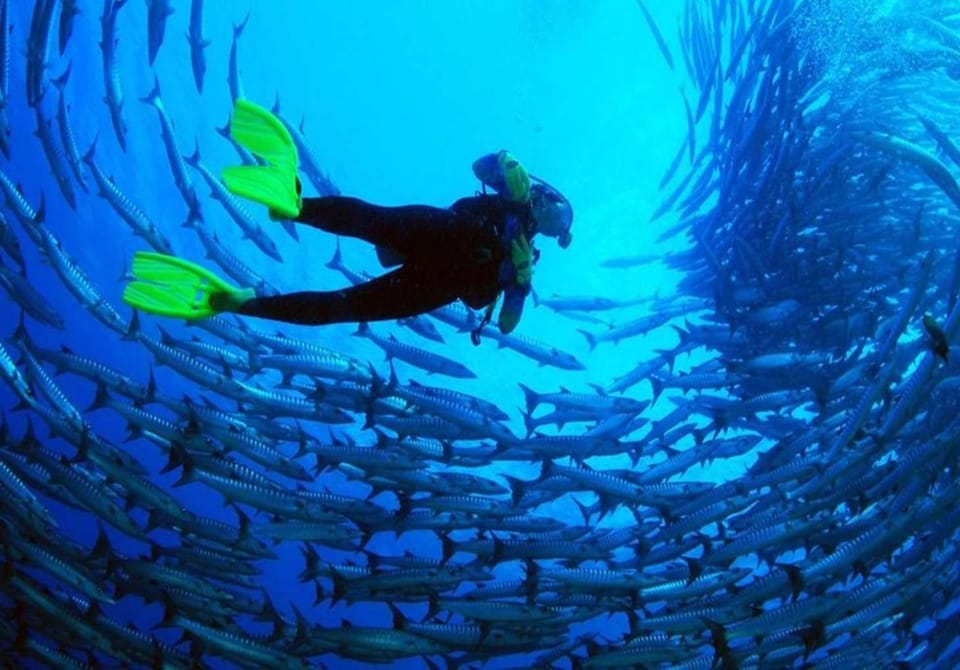 Diving
