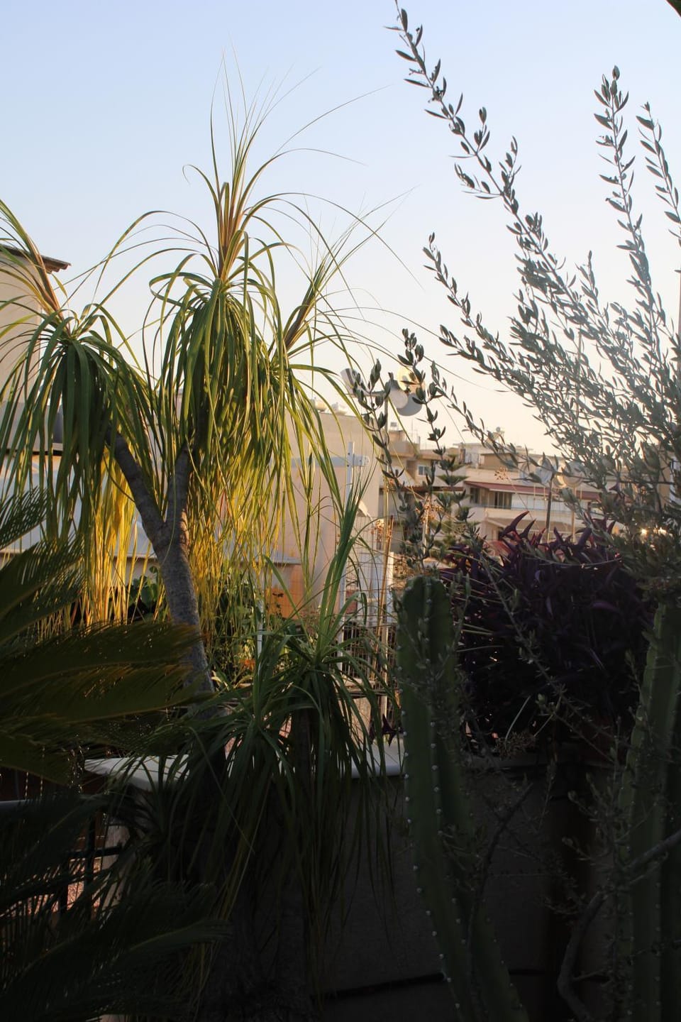 Spring, Day, Natural landscape, Garden