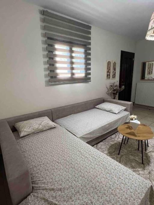 Traditional memories Apartment in Trikala