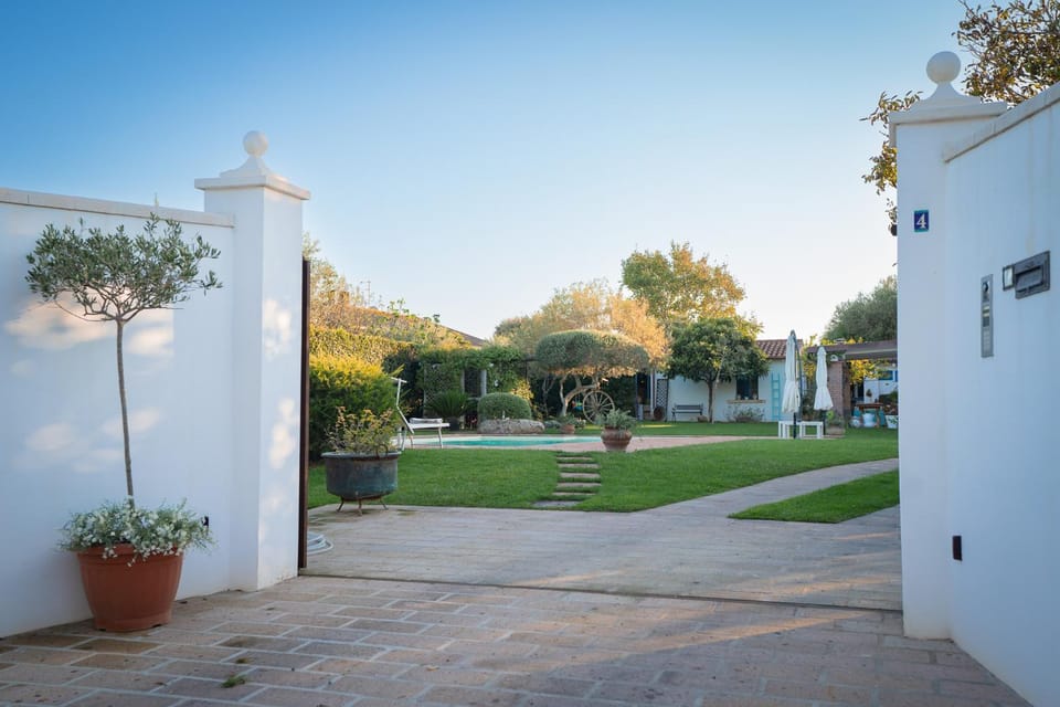Spring, Day, Natural landscape, Garden, Garden view, Pool view, Swimming pool