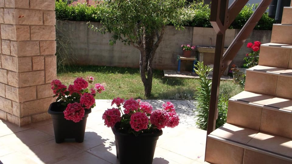 Garden view, Area and facilities