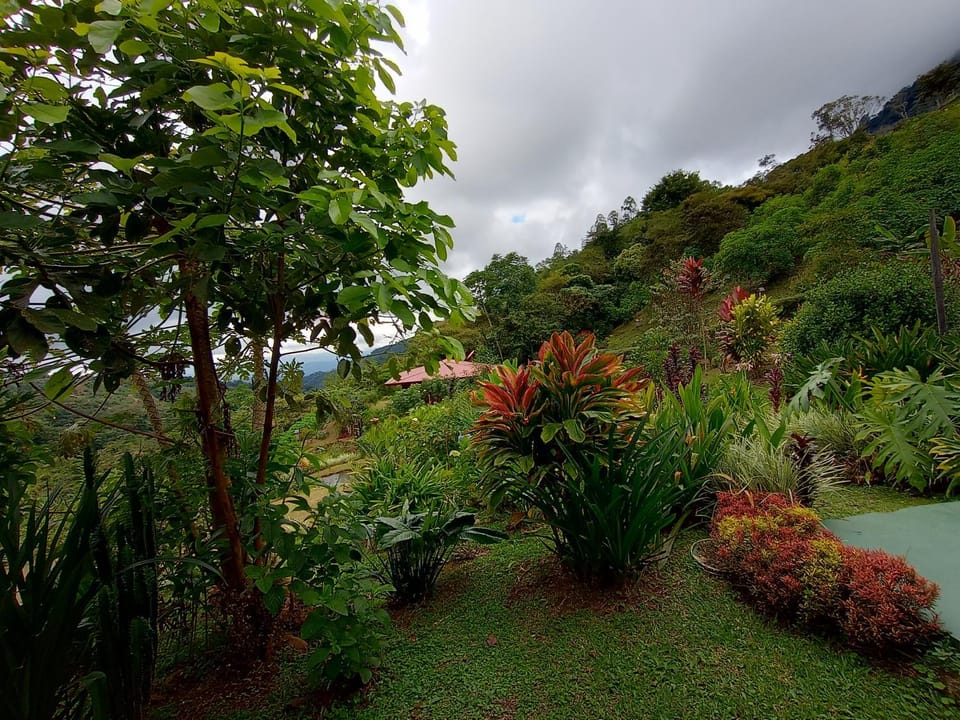 Aloha Chirripo Lodge Nature lodge in San José Province