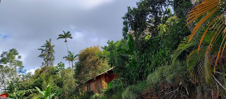 Aloha Chirripo Lodge Nature lodge in San José Province