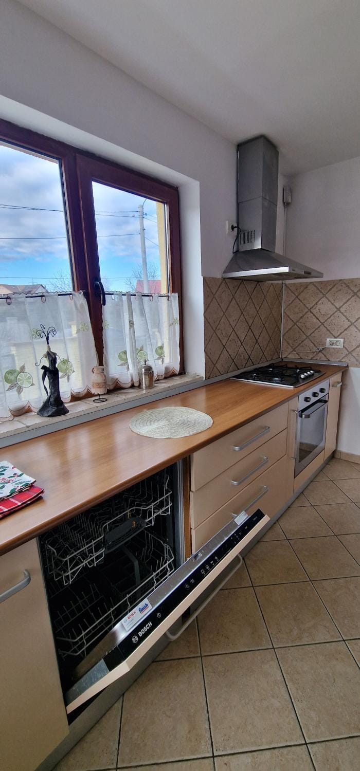 Kitchen or kitchenette, dishwasher, oven, stove
