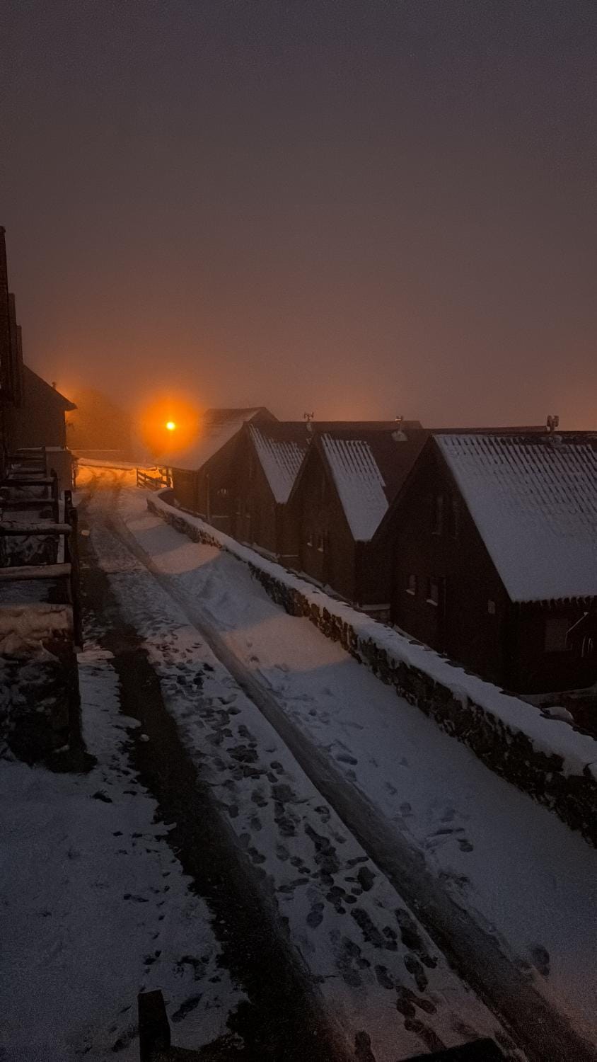 Winter