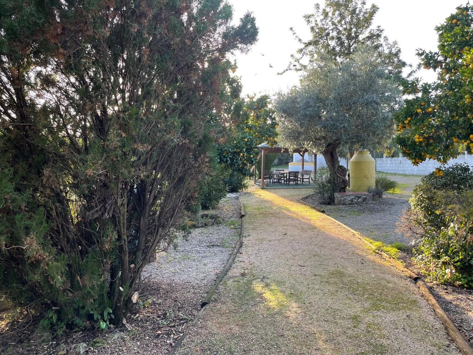 Day, Garden, Garden view