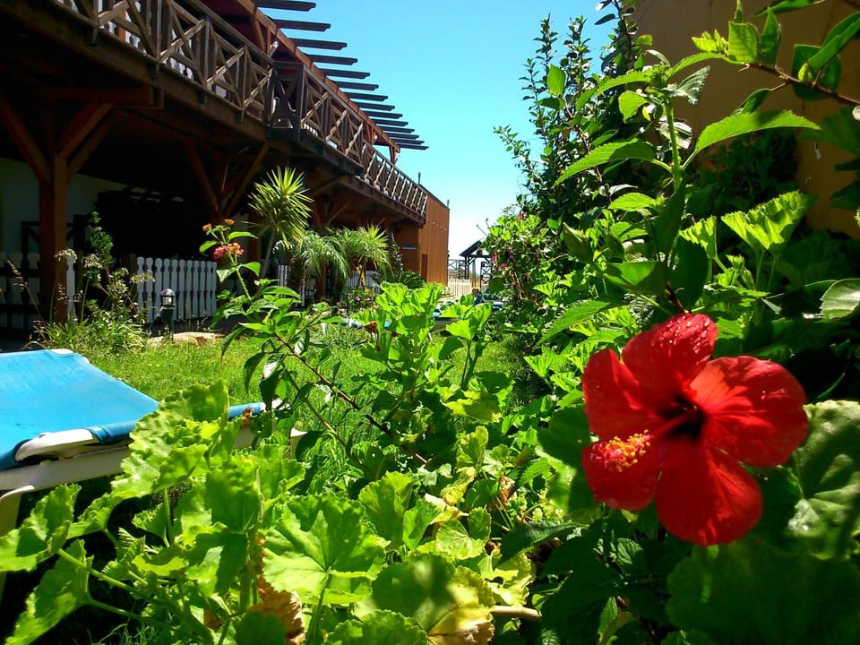 Facade/entrance, Garden