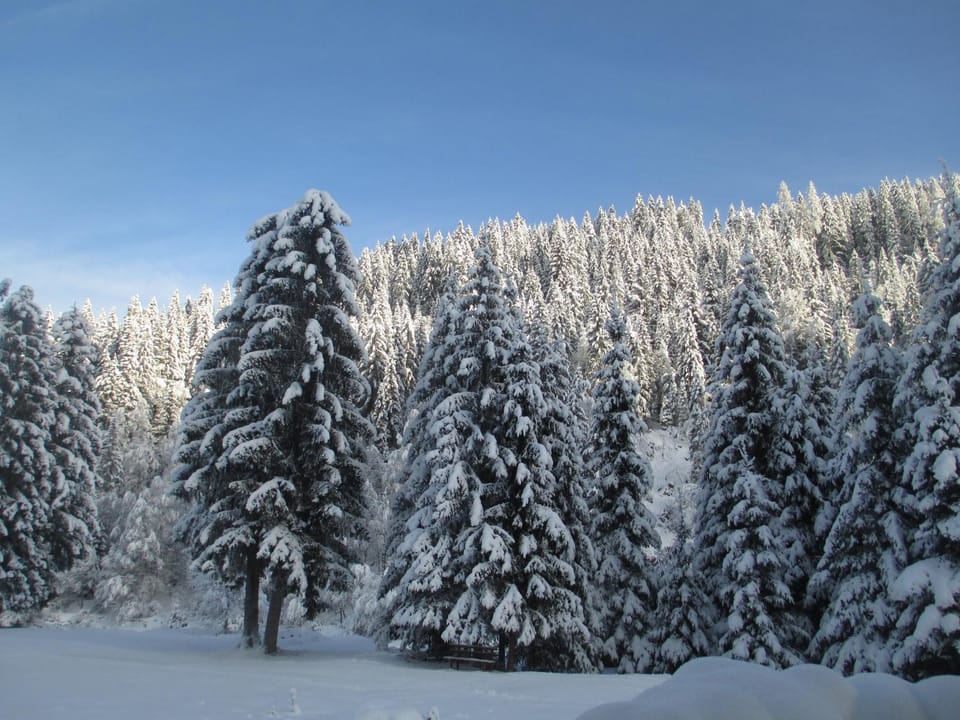 Activities, Winter, View (from property/room), Street view, Sports