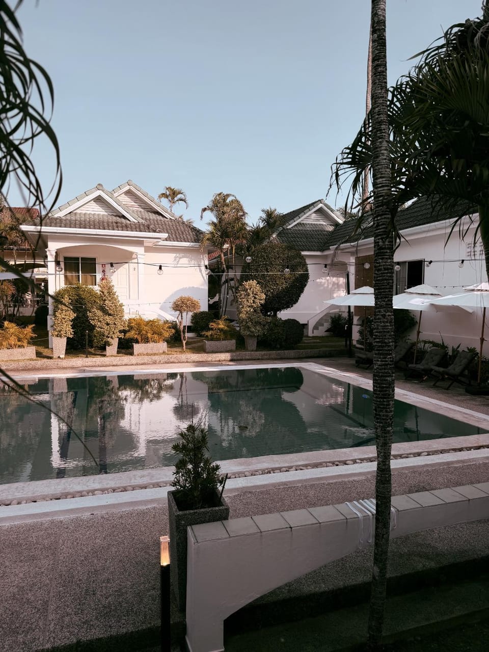 Property building, Day, Garden, Garden view, Pool view, Swimming pool