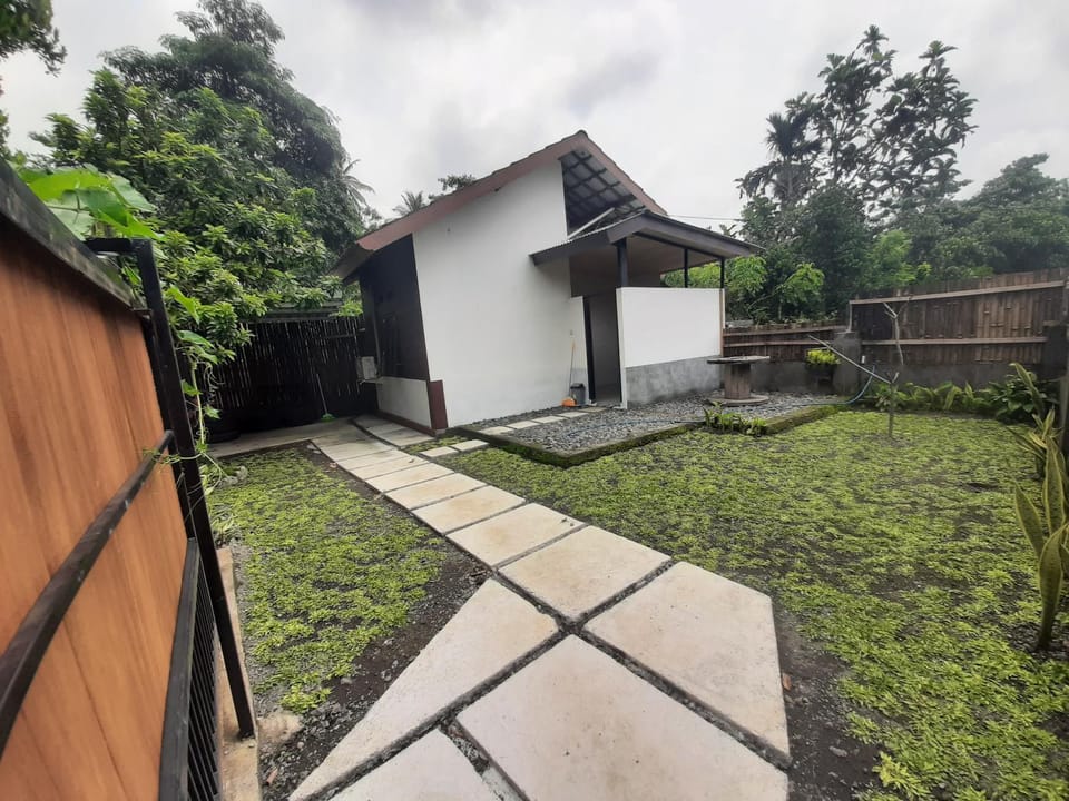 Property building, Day, Garden view