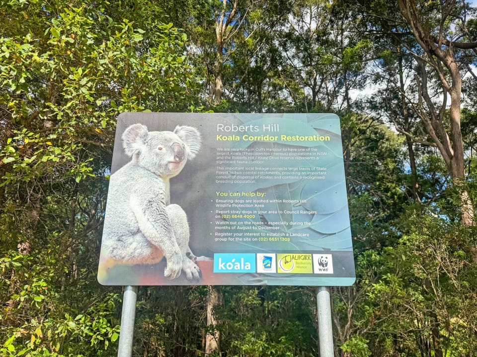 Pacific Vista House in Coffs Harbour