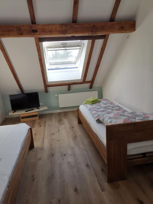 Bed, TV and multimedia, Photo of the whole room, Bedroom