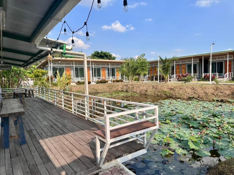 Garden, Balcony/Terrace