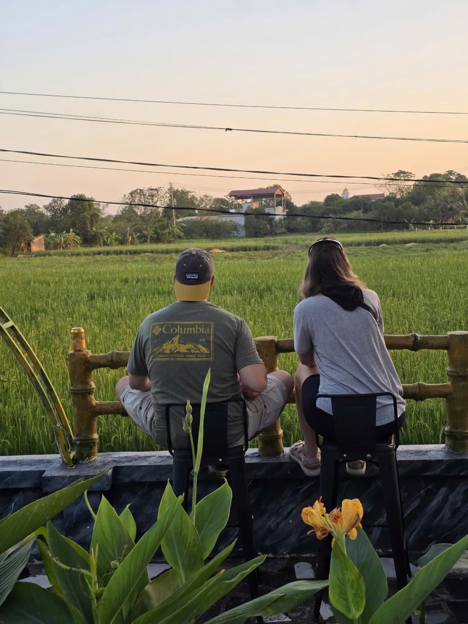 People, Natural landscape, Guests, Garden view, Sunrise, Sunset