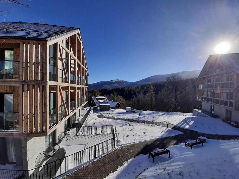 Day, Winter, Mountain view