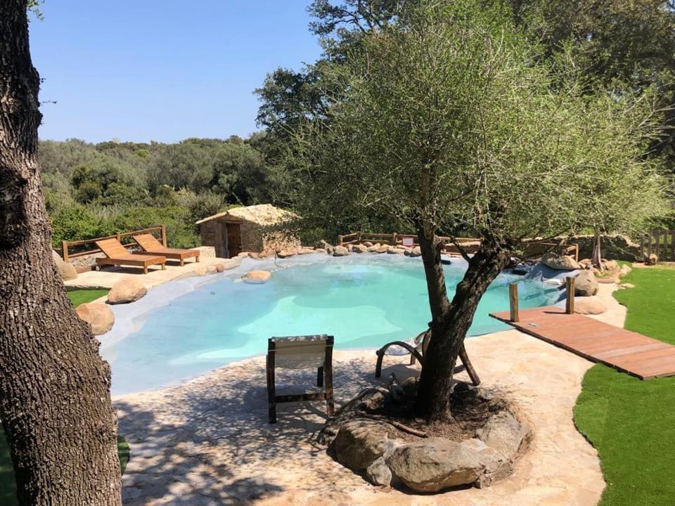 Garden, Pool view, Swimming pool