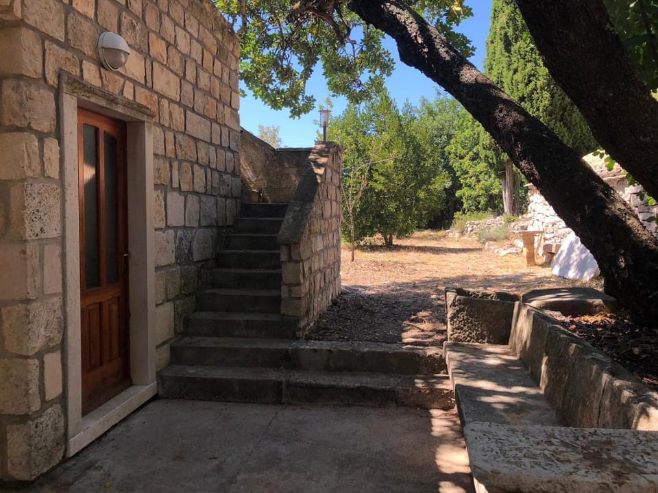 Day, Garden, Garden view