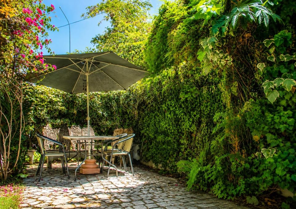 Patio, Garden