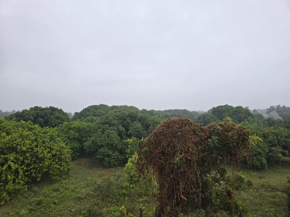 Natural landscape