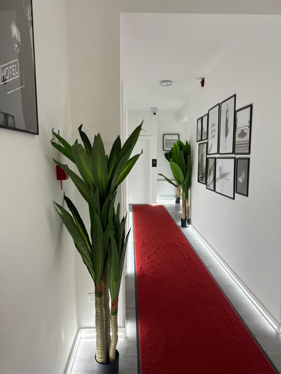 hotel le manoir Hotel in North Macedonia