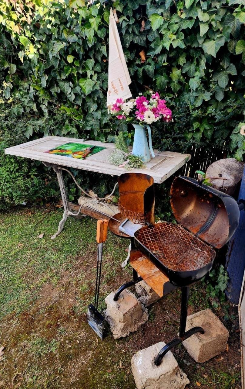 Patio, BBQ facilities, Garden