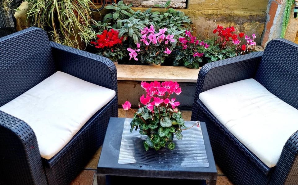 Garden, Garden view