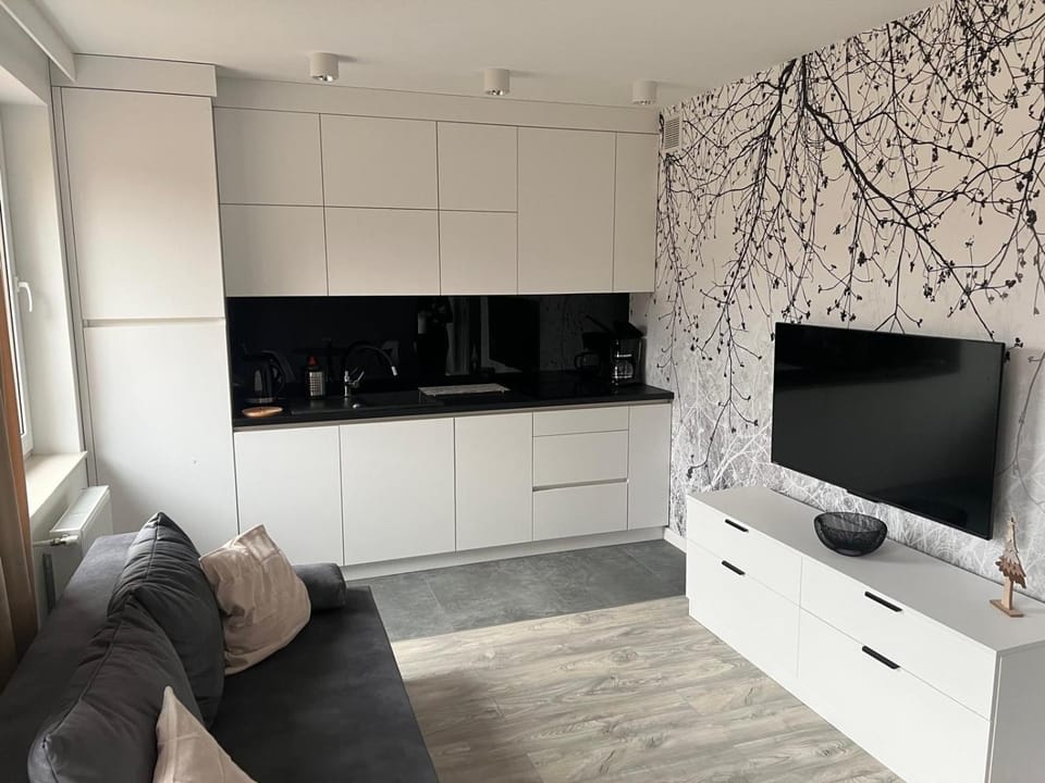 Day, TV and multimedia, Kitchen or kitchenette, Living room, Seating area, Evening entertainment