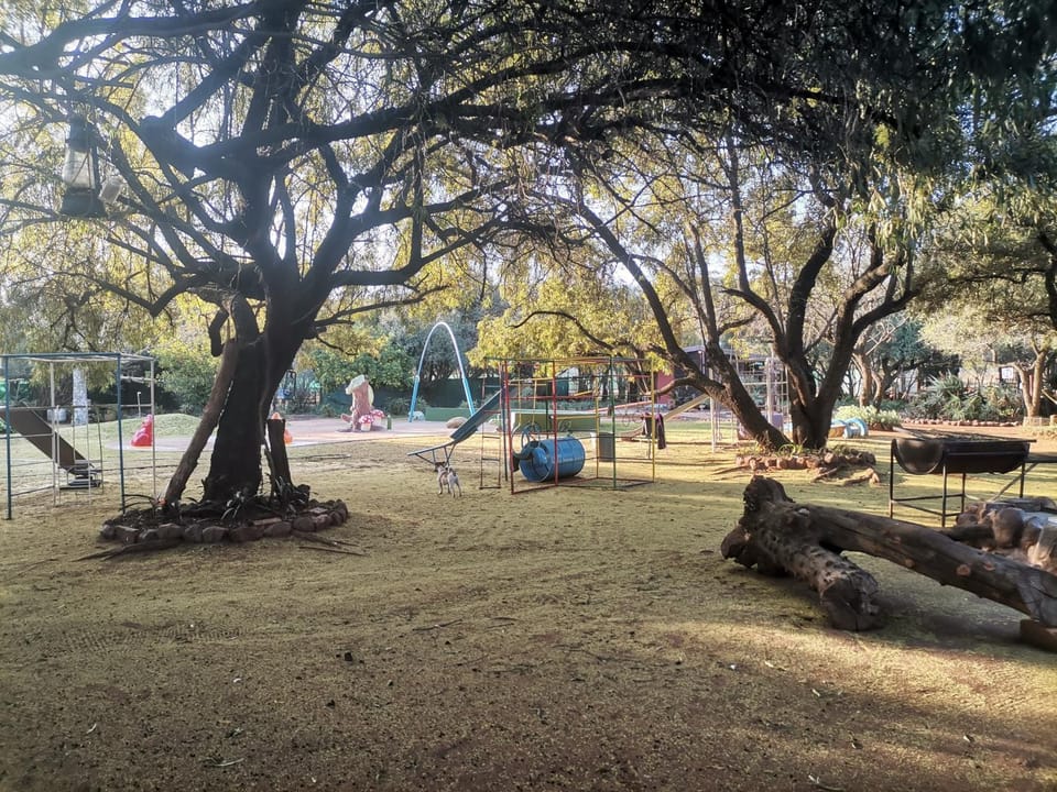 Spring, Day, Natural landscape, Children play ground, Garden, Garden view