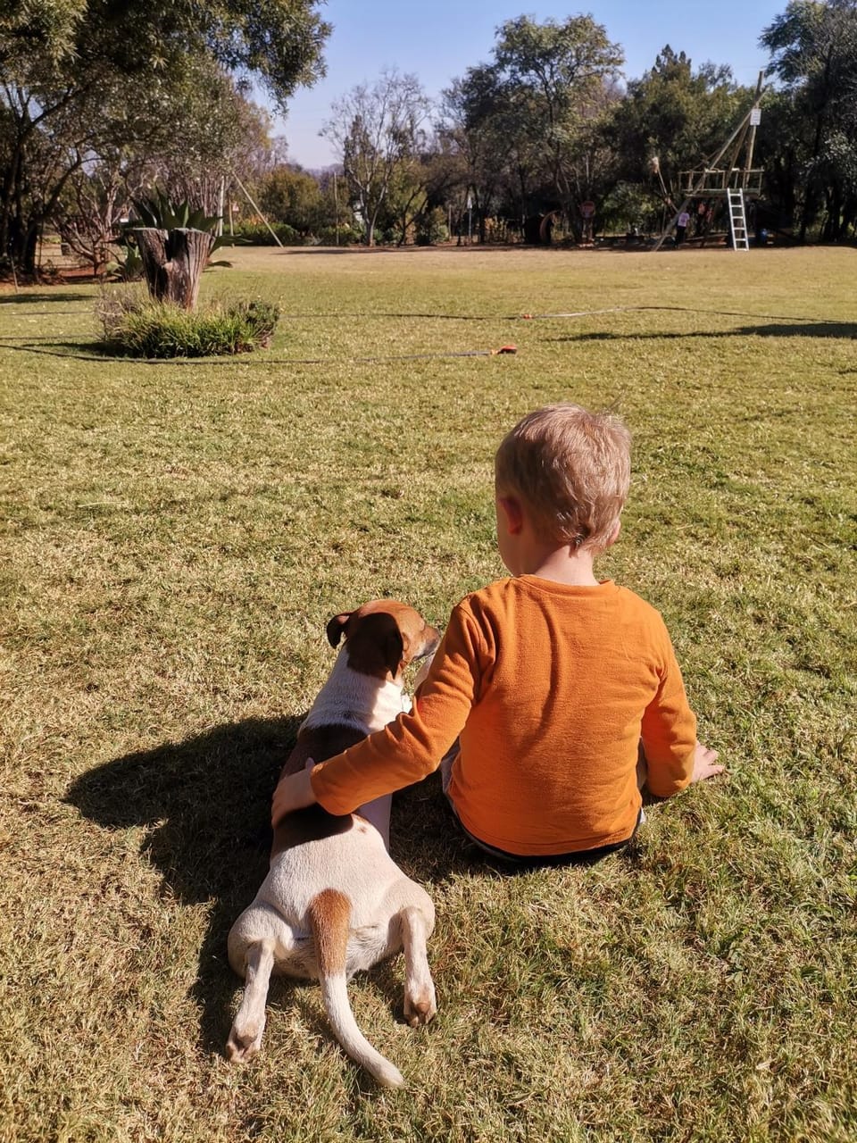 Day, Natural landscape, Pets, children