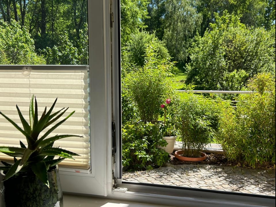Garden, Garden view