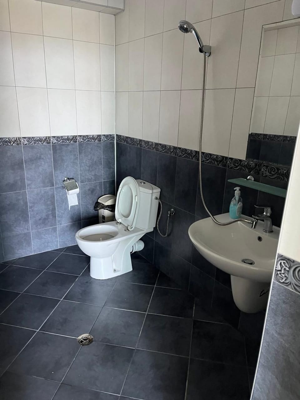 Вила Арапя Hotel in Burgas Province