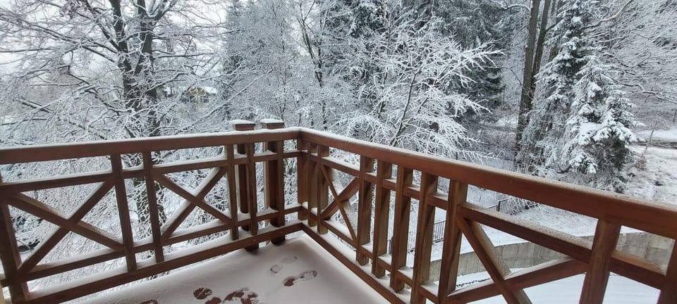 Day, Winter, View (from property/room), Balcony/Terrace, Balcony/Terrace