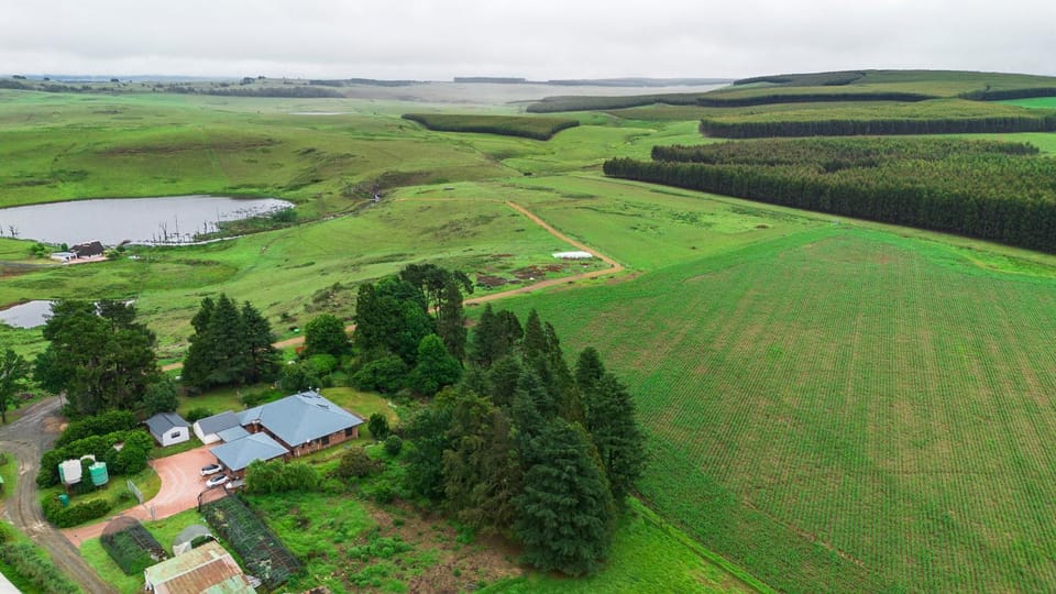 Natural landscape, Bird's eye view