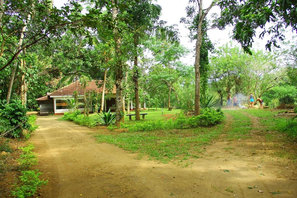 Garden, Garden, Garden view
