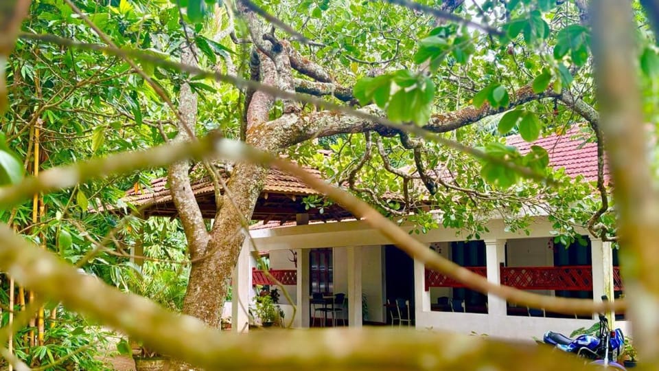 Property building, Garden view