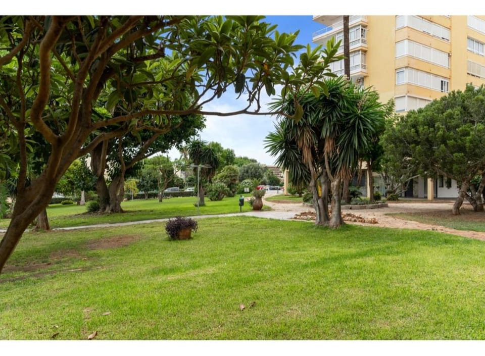 Garden, Garden