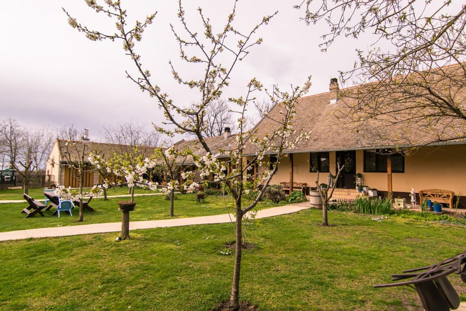 Spring, Day, Natural landscape, Garden, Garden view