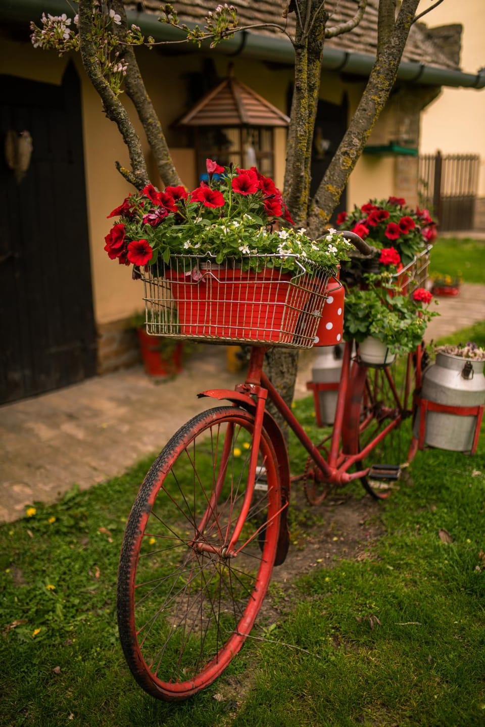 Spring, Day, Garden, Garden view