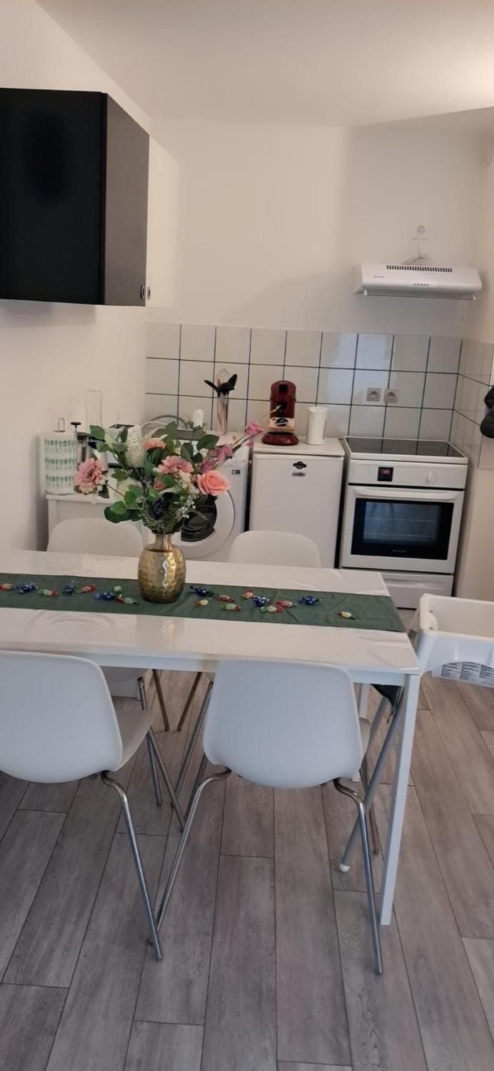 GabiHome Apartment in Mulhouse